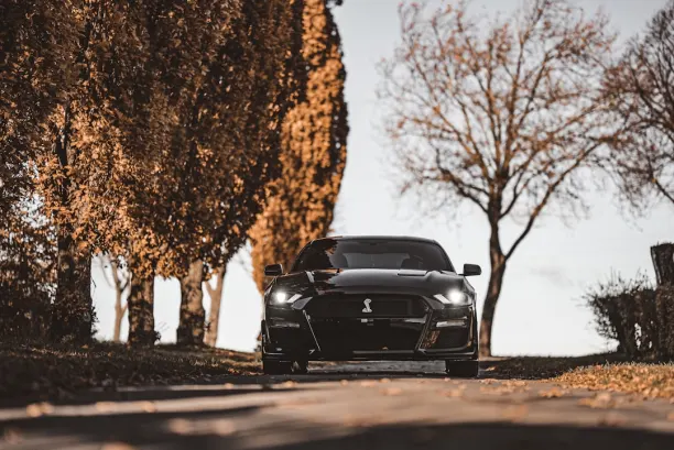 Kazino Lion Wins Android/iOS Lietotne